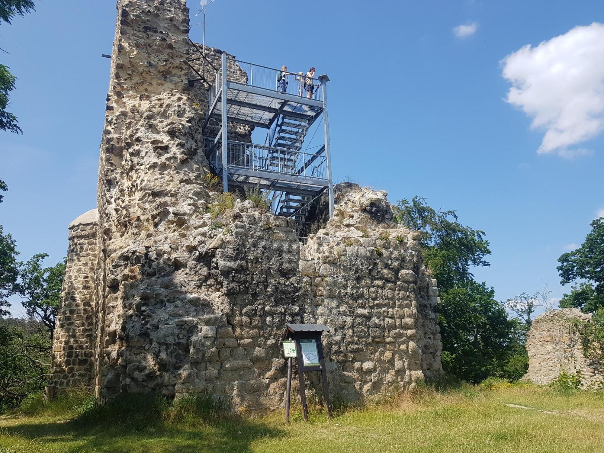 Ferienhaus Renate 7 Thale Exterior foto